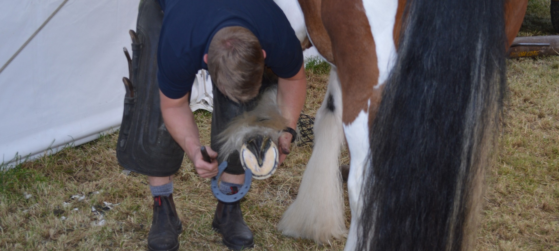 Dan Lowe Friday on the Farm