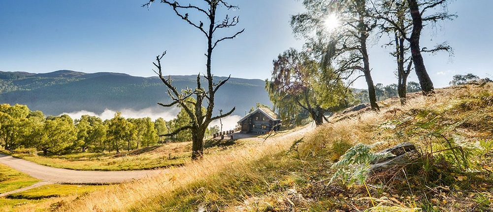 Case Study Eagle Brae Log Cabins