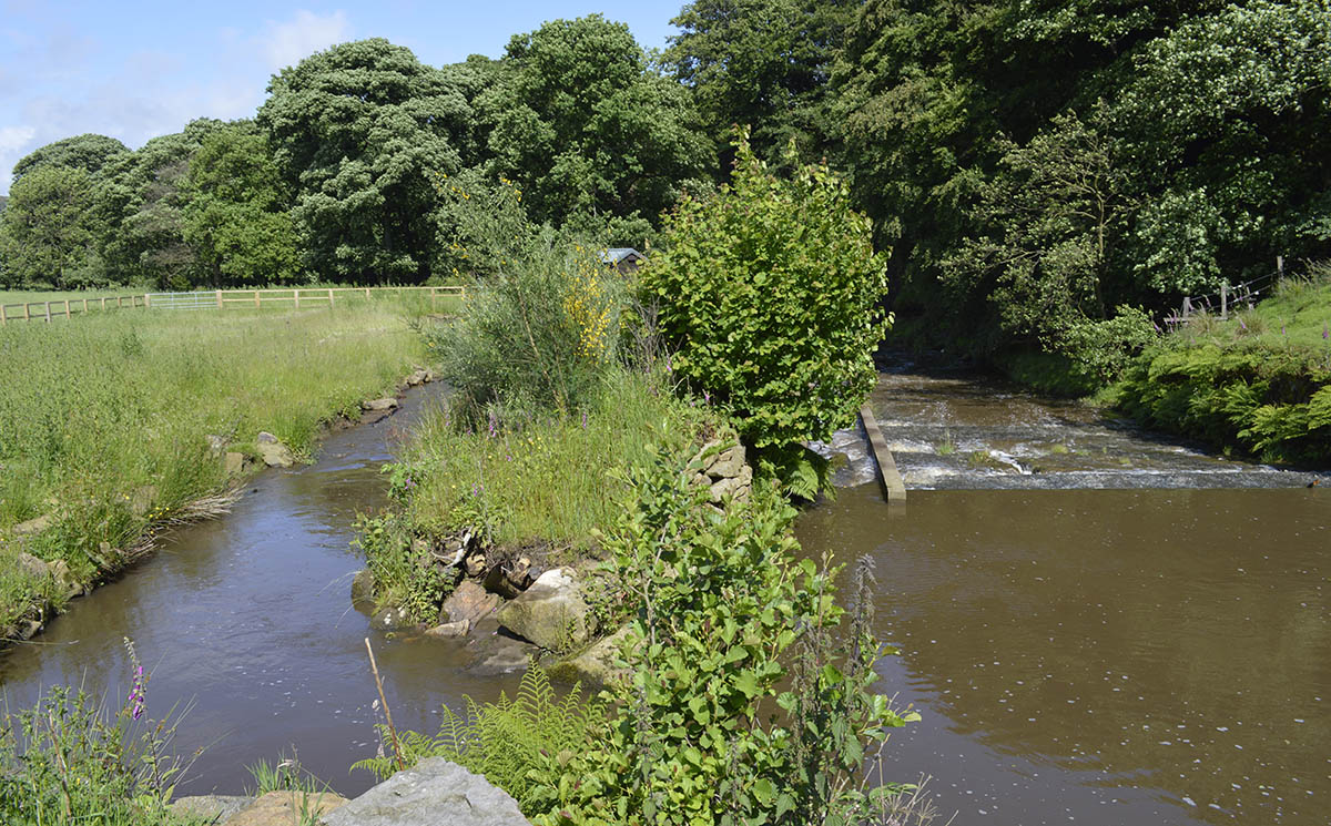 river Don at Bullhouse Mill