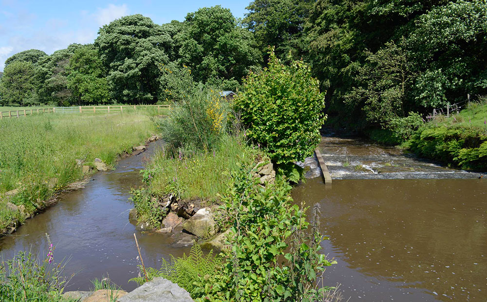 Nigel Tyas Ironwork - our environmental credentials