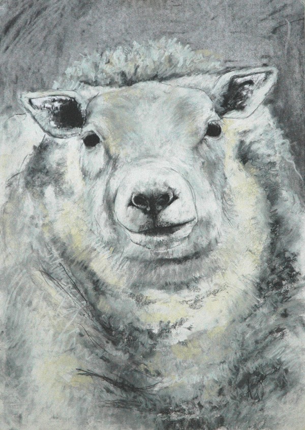 Amy Jones Yorkshire Animal Artist Rosie