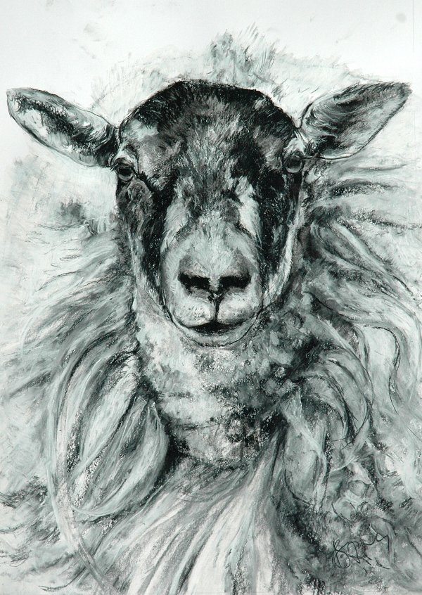 Amy Jones Yorkshire Animal Artist Titch