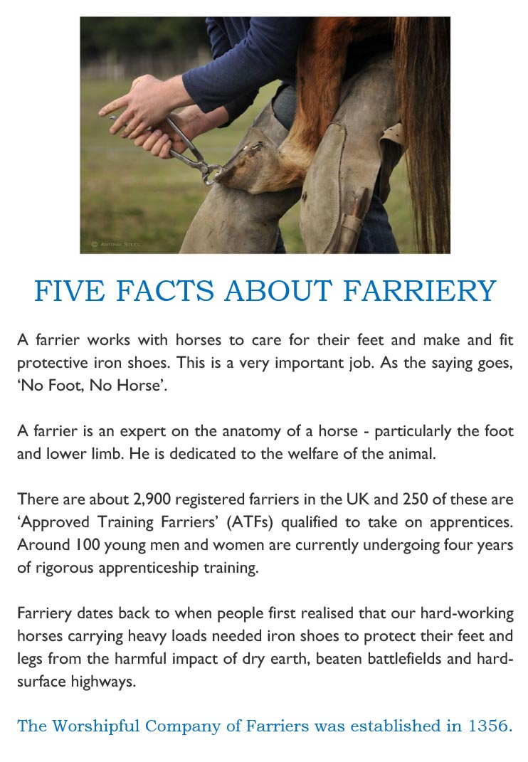 Penistone Show - Five facts about farriers